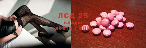 сатива Заволжье