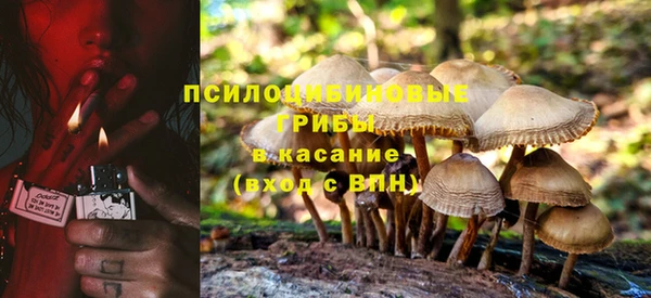 сатива Заволжье