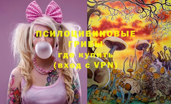 соль курить ск Заводоуковск