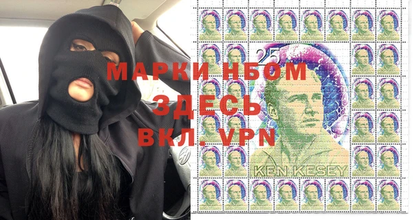 сатива Заволжье