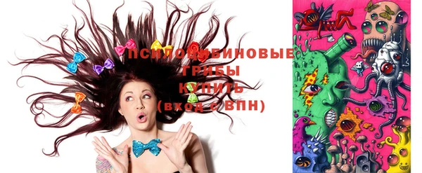 соль курить ск Заводоуковск