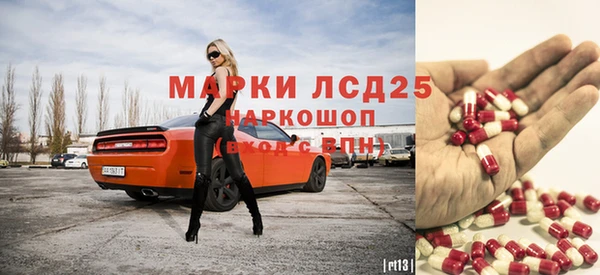 сатива Заволжье