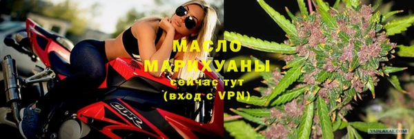 сатива Заволжье
