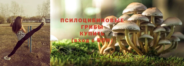 соль курить ск Заводоуковск