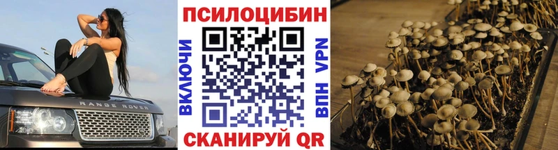 Галлюциногенные грибы GOLDEN TEACHER  Купить где  Бугуруслан 